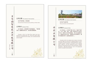 牡丹桌签立牌