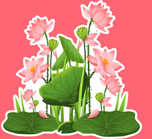粉色荷花荷叶插画图案