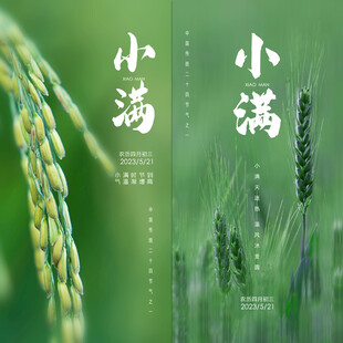 小满