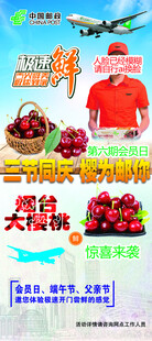 EMS大樱桃邮寄展架