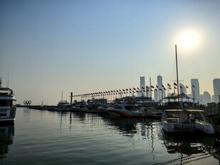 海港码头船只与城市天际线