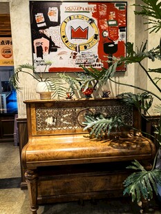 复古钢琴旁的绿植与挂画