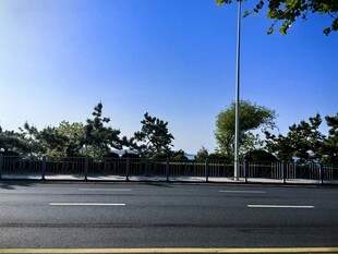 宽阔道路旁的绿树蓝天