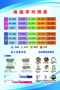 体脂比率对照表展示