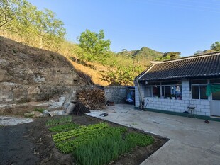 乡村小院旁的田园景致