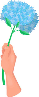 手捧蓝绣球花