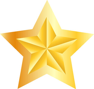 金色五角星图标