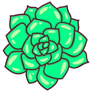 可爱绿色多肉植物插画