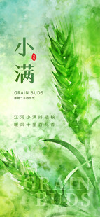 清新小满节气插画海报