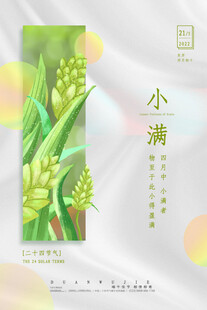 小满时节麦穗图