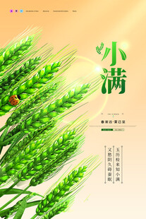 小满时节麦穗青