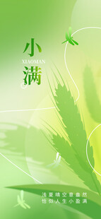 清新小满节气插画图