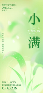 小满时节清新绿意画面