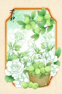 中式插画之花卉与果篮