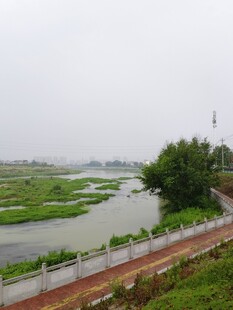 乡村河畔风景