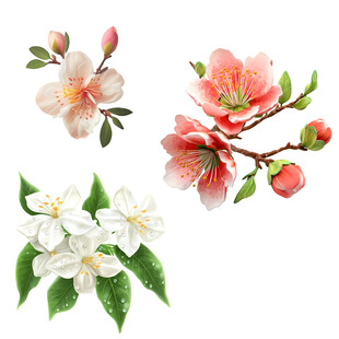 多彩花卉插画