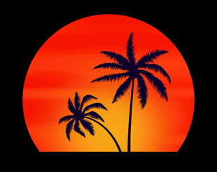 夕阳下的棕榈树剪影