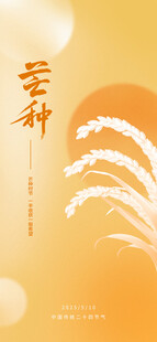 芒种海报设计