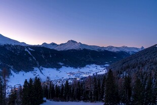雪山松林间的壮丽黄昏