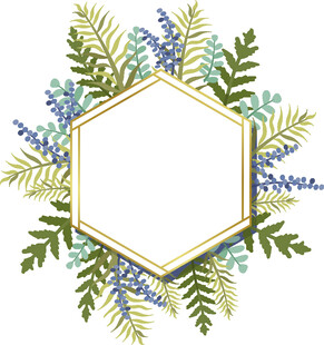六边形绿植花卉装饰边框