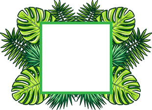 热带植物边框空白模板