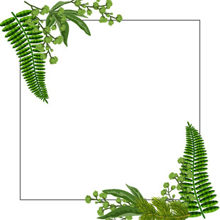 蕨类植物装饰边框