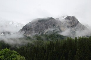 云雾缭绕中的山林与山峰