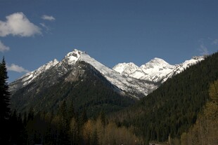 壮丽雪山与森林景观