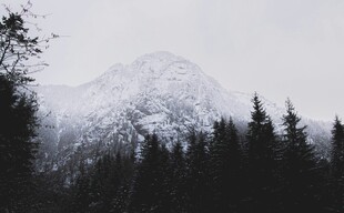 雪覆山峦与林间景致