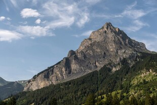 巍峨山峰与葱郁植被景观