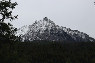 巍峨雪山与葱郁森林