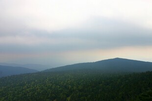 山峦绿意浓 云雾绕其间