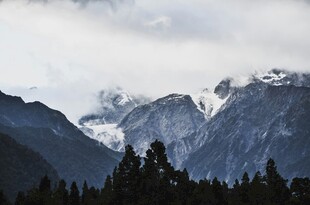 壮丽雪山与森林景观