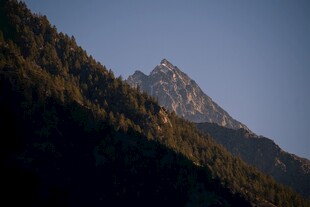 巍峨山峰与茂密山林