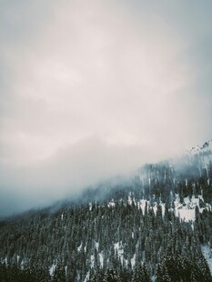 云雾缭绕的山林雪景