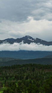 云雾缭绕的山林与远山