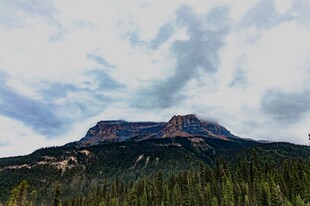 巍峨山峦与葱郁林木景观
