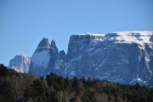 雪山巍峨与山林相映