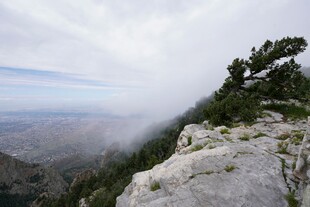 云雾缭绕的山巅景色