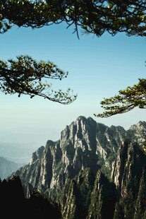 巍峨山峦间的苍松美景