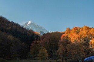 秋日山林中的雪山美景