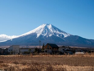 富士山脚下的开阔景致