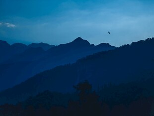 暮色中的山峦飞鸟