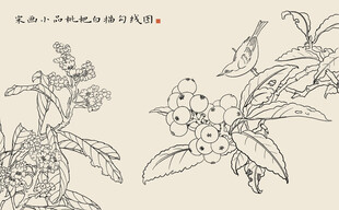 中式花鸟线描图案素材