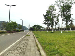 城郊道路