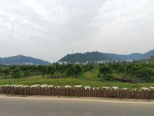 青山