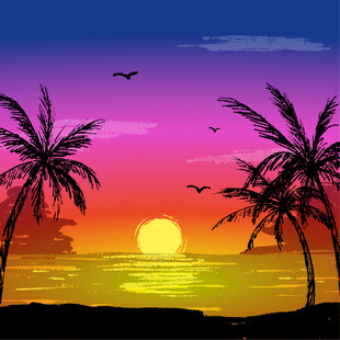夕阳下的海边椰树美景