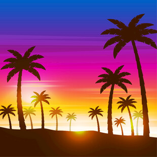 夕阳下的棕榈树美景