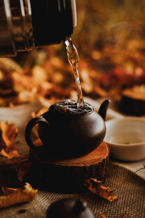 秋日煮茶图