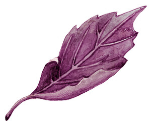 紫色叶片水彩画